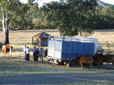 Beef Week Visitors